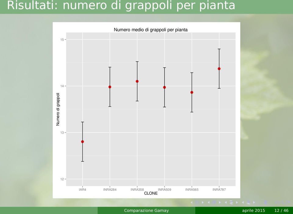 medio di grppoli per pint