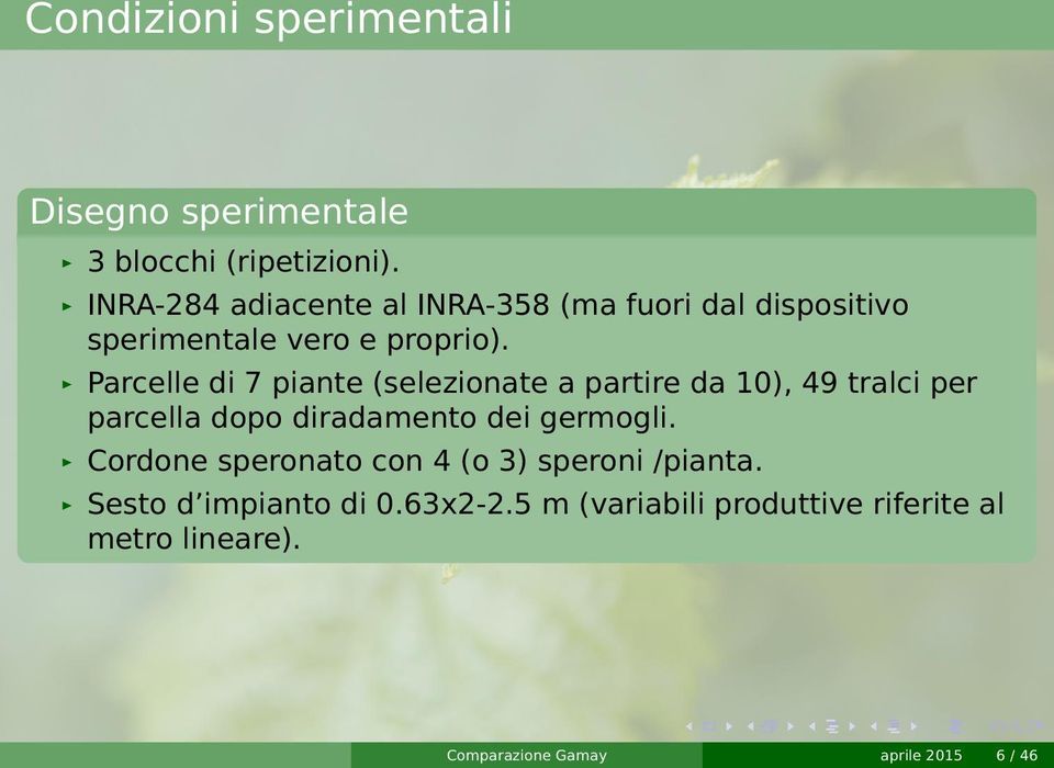 Prcelle di 7 pinte (selezionte prtire d 10), 49 trlci per prcell dopo dirdmento dei germogli.