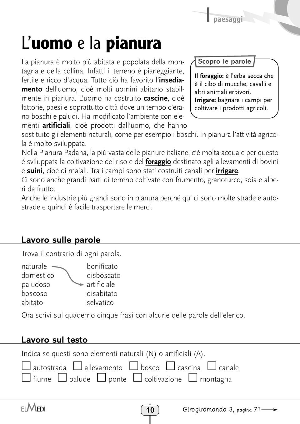 L uomo ha costruito cascine, cioè fattorie, paesi e soprattutto città dove un tempo c erano boschi e paludi.