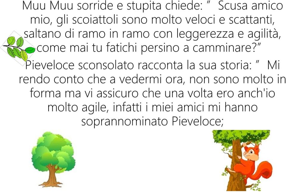 Pieveloce sconsolato racconta la sua storia: Mi rendo conto che a vedermi ora, non sono molto in