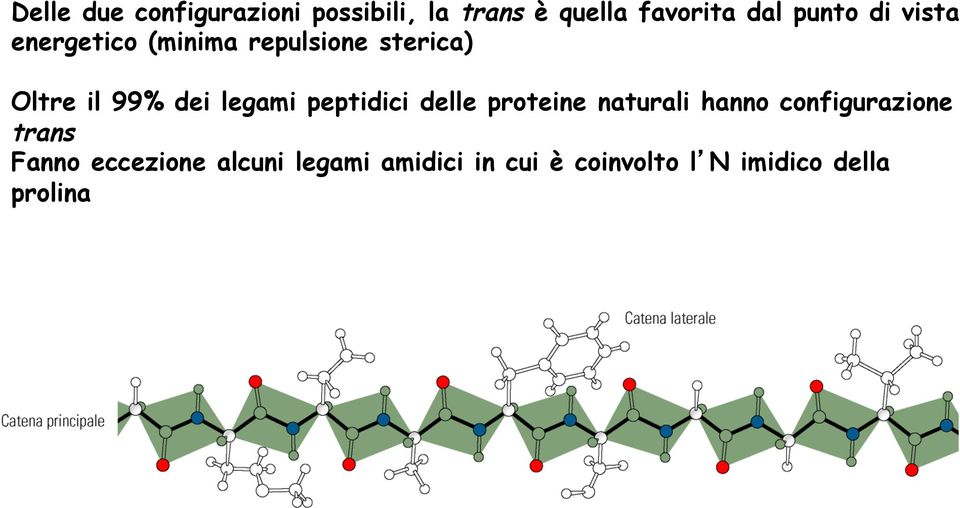 legami peptidici delle proteine naturali hanno configurazione trans