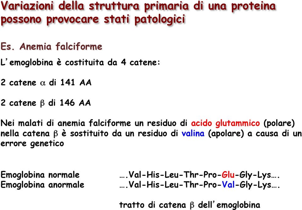 falciforme un residuo di acido glutammico (polare) nella catena β è sostituito da un residuo di valina (apolare) a causa di