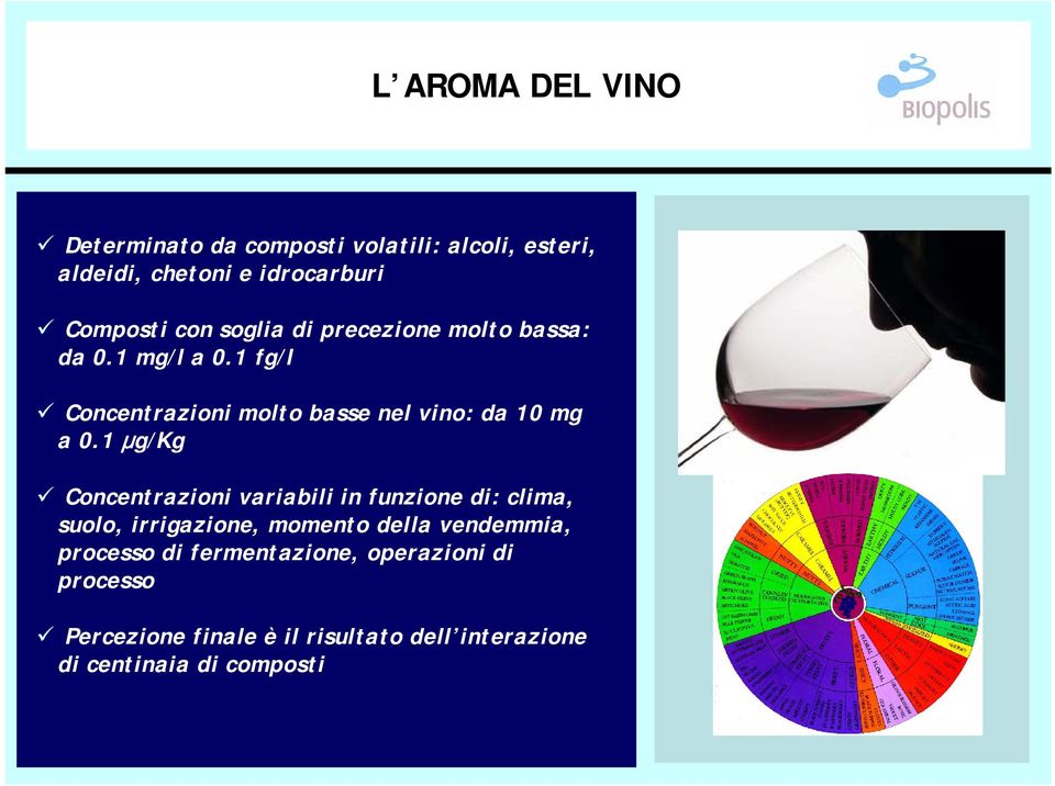 1 μg/kg Concentrazioni variabili in funzione di: clima, suolo, irrigazione, momento della vendemmia, processo