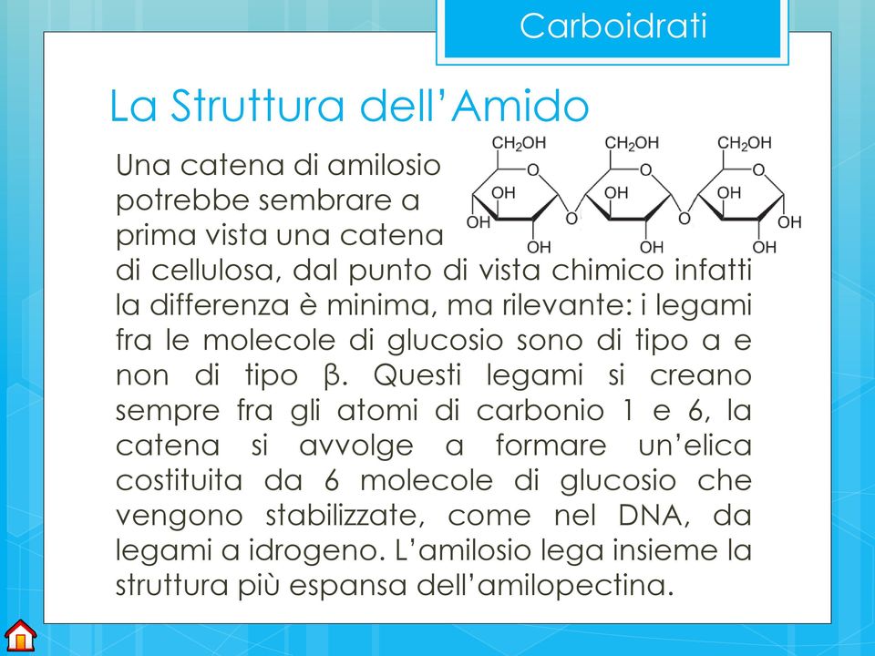 Questi legami si creano sempre fra gli atomi di carbonio 1 e 6, la catena si avvolge a formare un elica costituita da 6 molecole di