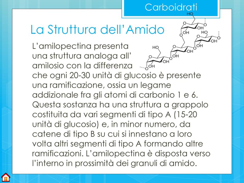 Questa sostanza ha una struttura a grappolo costituita da vari segmenti di tipo A (15-20 unità di glucosio) e, in minor numero, da catene