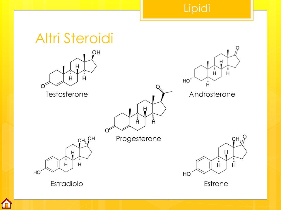 Testosterone