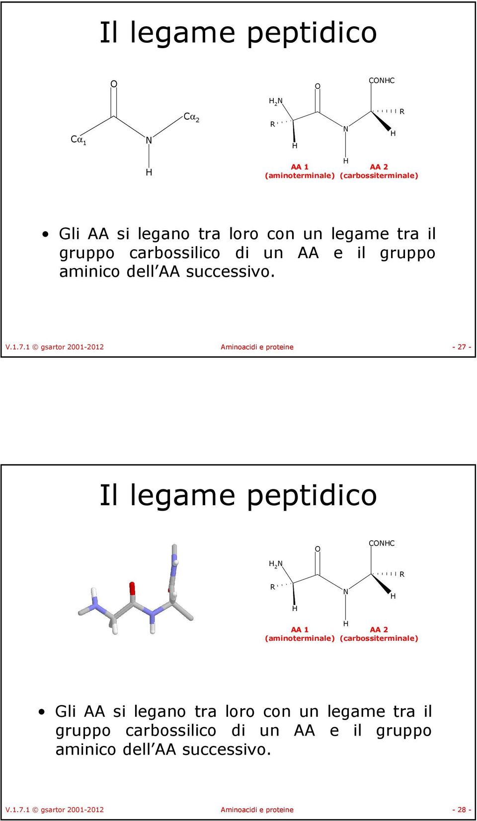 1 gsartor 2001-2012 Aminoacidi e proteine - 27 - Il legame peptidico CC 2 AA 1 AA 2 (aminoterminale) (carbossiterminale)