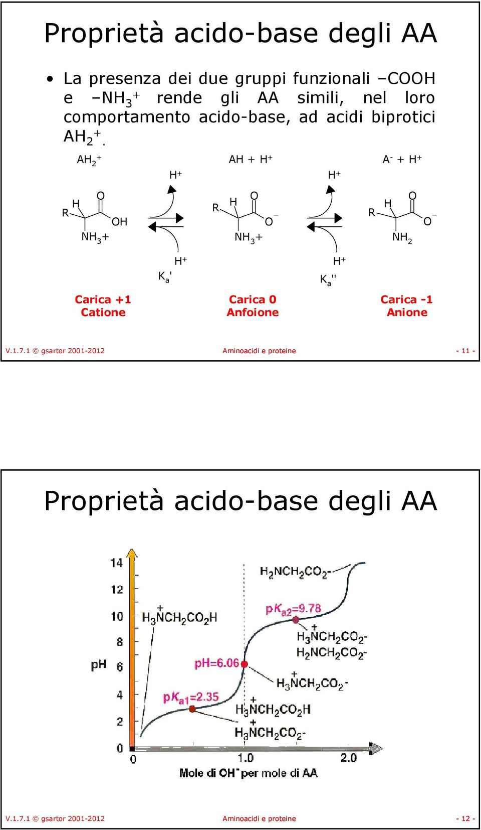 A 2 A A - 3 3 2 K a ' K a '' Carica 1 Catione Carica 0 Anfoione Carica -1 Anione V.1.7.