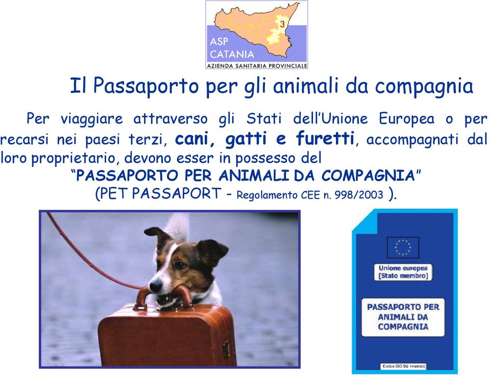 furetti, accompagnati dal loro proprietario, devono esser in possesso del