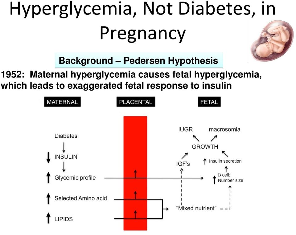 1952: Maternal hyperglycemia causes fetal