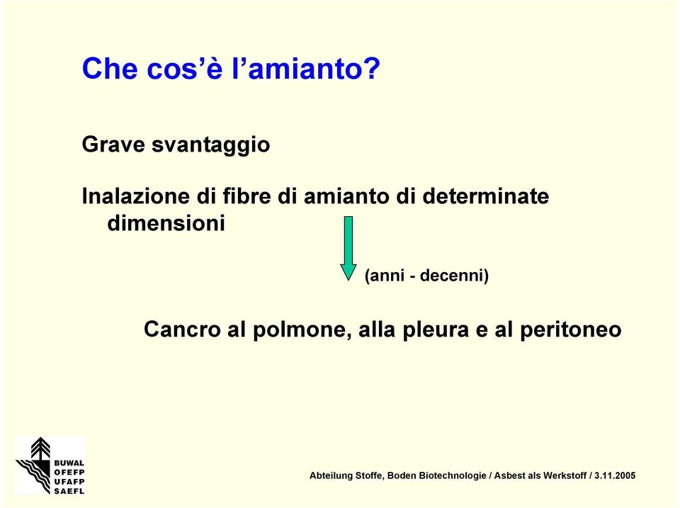 amianto di determinate dimensioni (anni