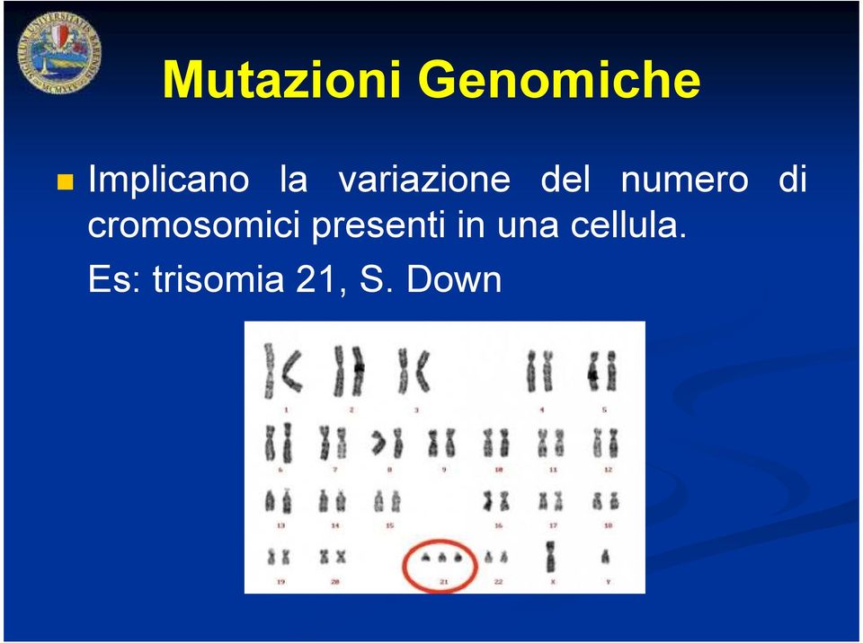 cromosomici presenti in una