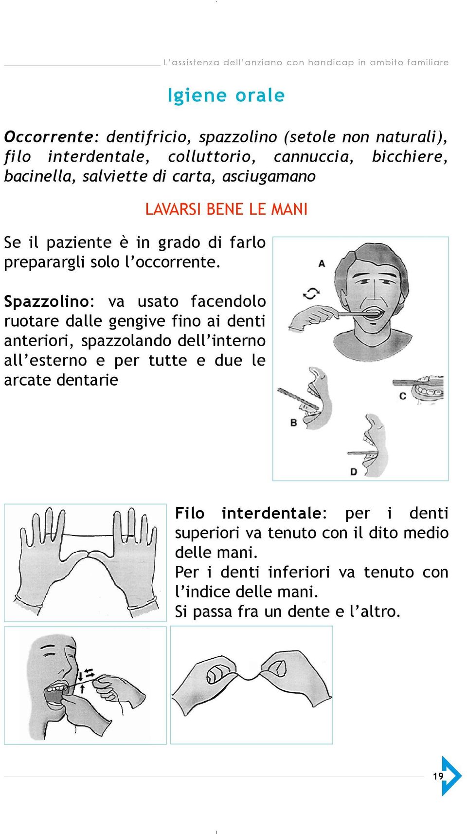 S p a z z o l i n o: va usato facendolo ruotare dalle gengive fino ai denti anteriori, spazzolando dell interno all esterno e per tutte e due le arcate dentarie L