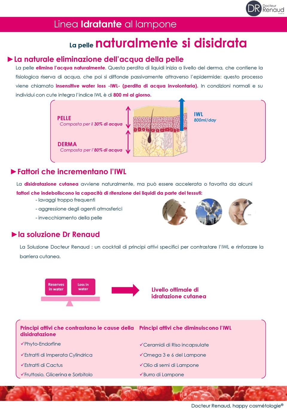 insensitive water loss -IWL- (perdita di acqua involontaria). In condizioni normali e su individui con cute integra l indice IWL è di 800 ml al giorno.