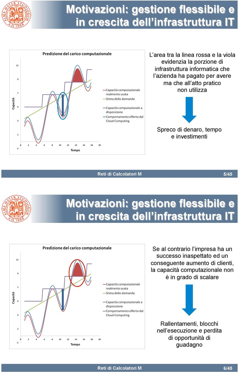 Motivazioni: gestione flessibile e in crescita dell infrastruttura IT Se al contrario l impresa ha un successo inaspettato ed un conseguente