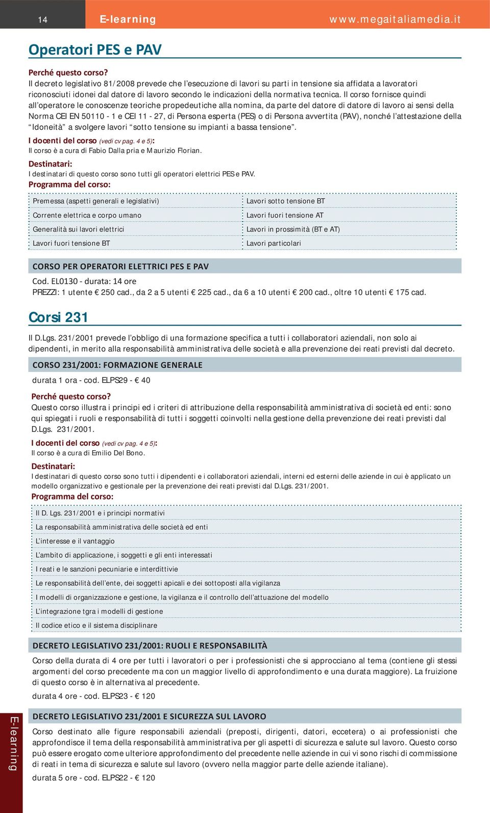 Il corso fornisce quindi all operatore le conoscenze teoriche propedeutiche alla nomina, da parte del datore di datore di lavoro ai sensi della Norma CEI EN 50110-1 e CEI 11-27, di Persona esperta