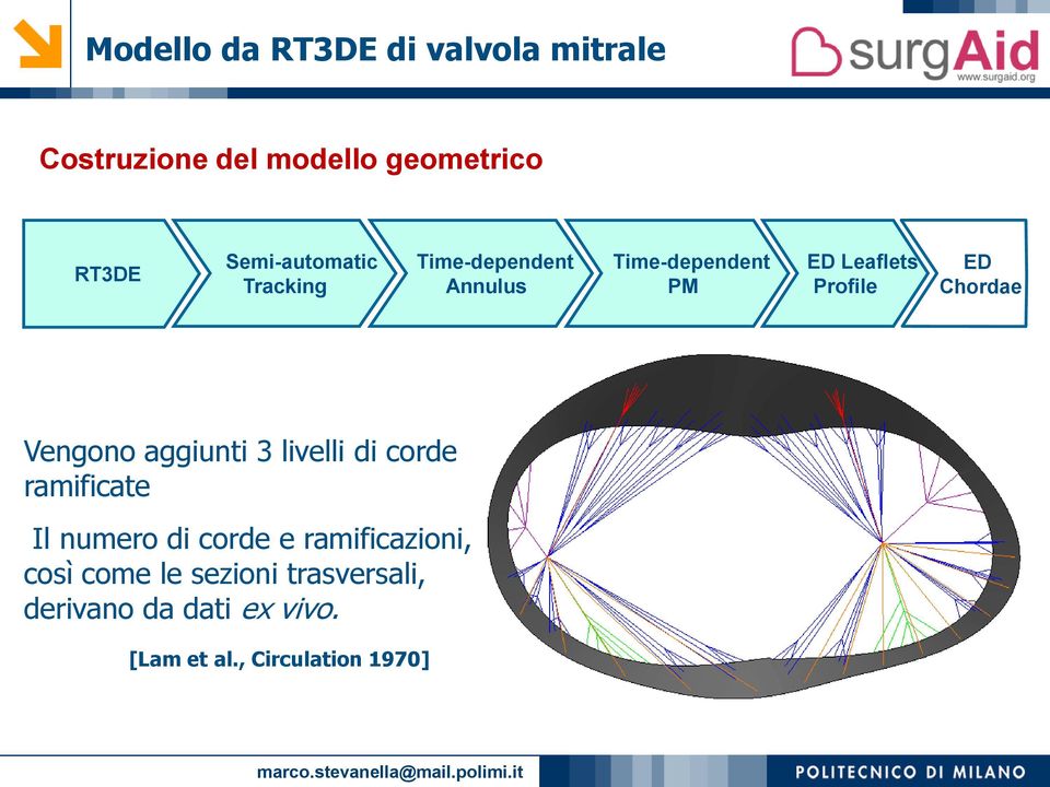 ED Chordae Vengono aggiunti 3 livelli di corde ramificate Il numero di corde e