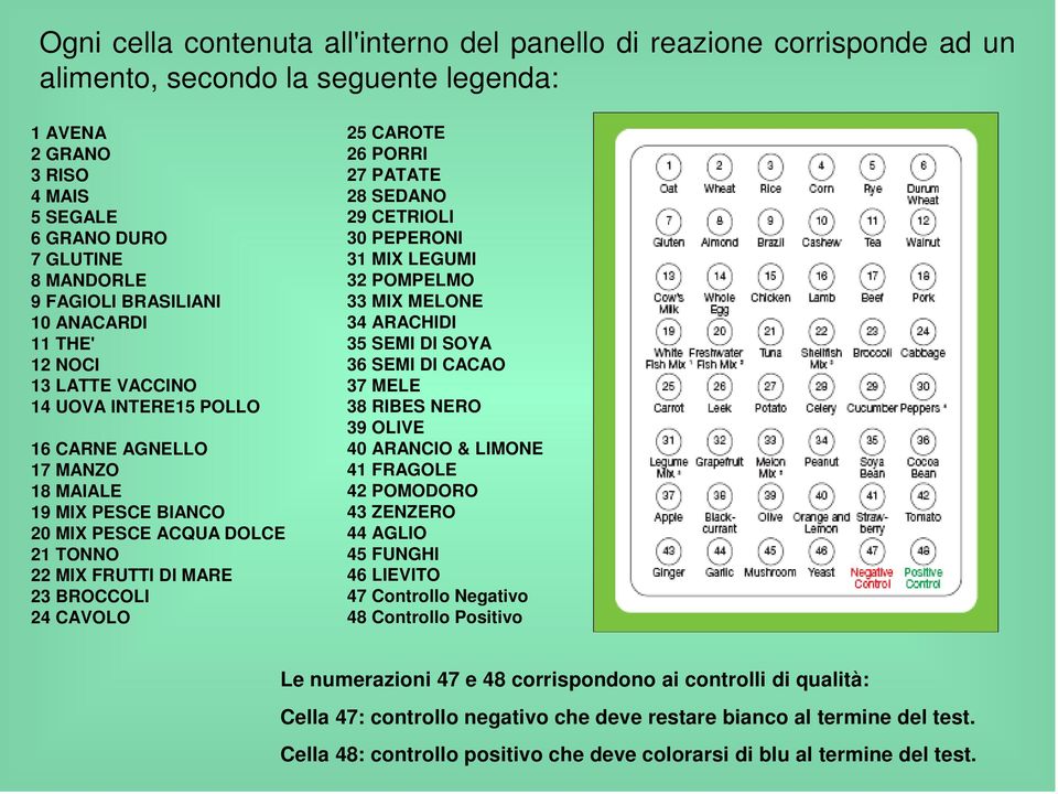 BROCCOLI 24 CAVOLO 25 CAROTE 26 PORRI 27 PATATE 28 SEDANO 29 CETRIOLI 30 PEPERONI 31 MIX LEGUMI 32 POMPELMO 33 MIX MELONE 34 ARACHIDI 35 SEMI DI SOYA 36 SEMI DI CACAO 37 MELE 38 RIBES NERO 39 OLIVE