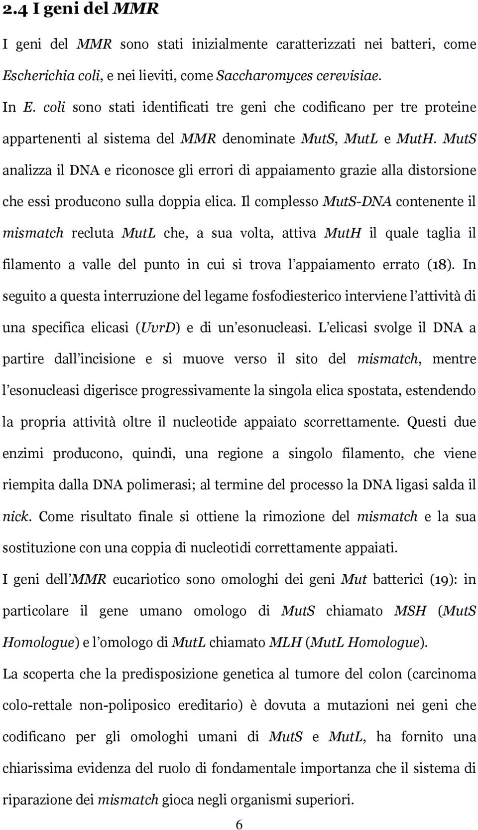 MutS analizza il DNA e riconosce gli errori di appaiamento grazie alla distorsione che essi producono sulla doppia elica.