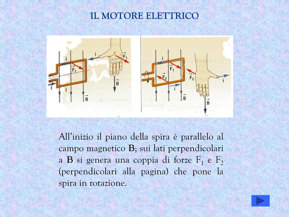 perpendicolari a B si genera una coppia di forze F 1