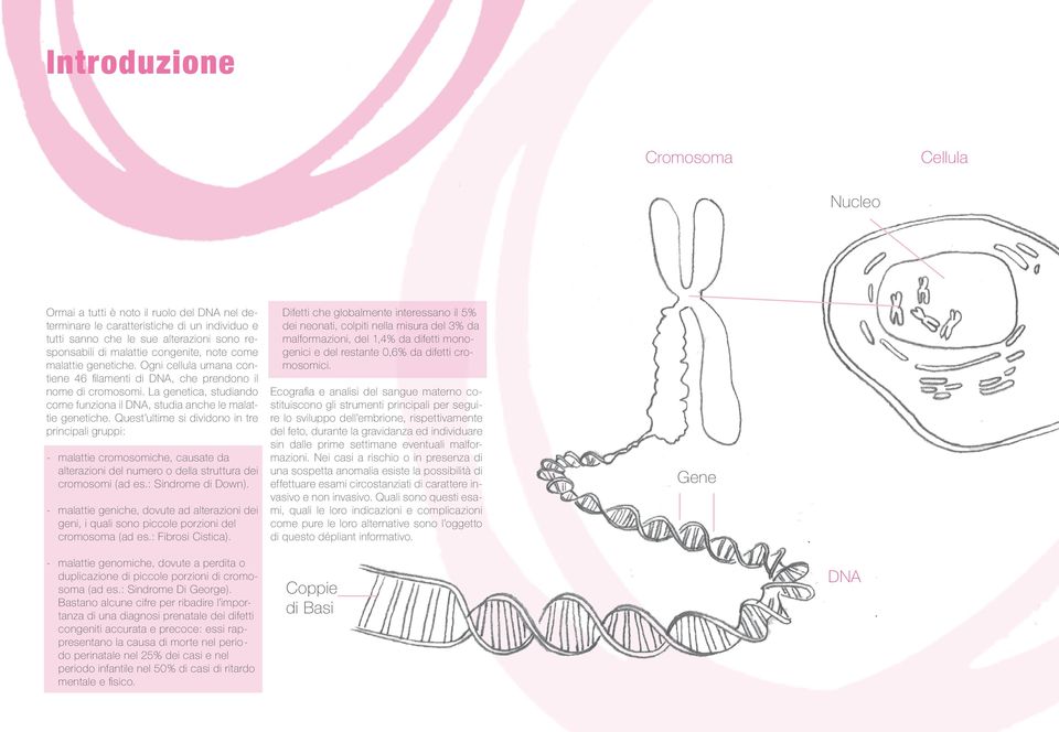 La genetica, studiando come funziona il DNA, studia anche le malattie genetiche.