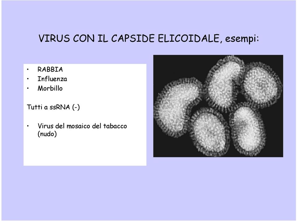 Influenza Morbillo Tutti a