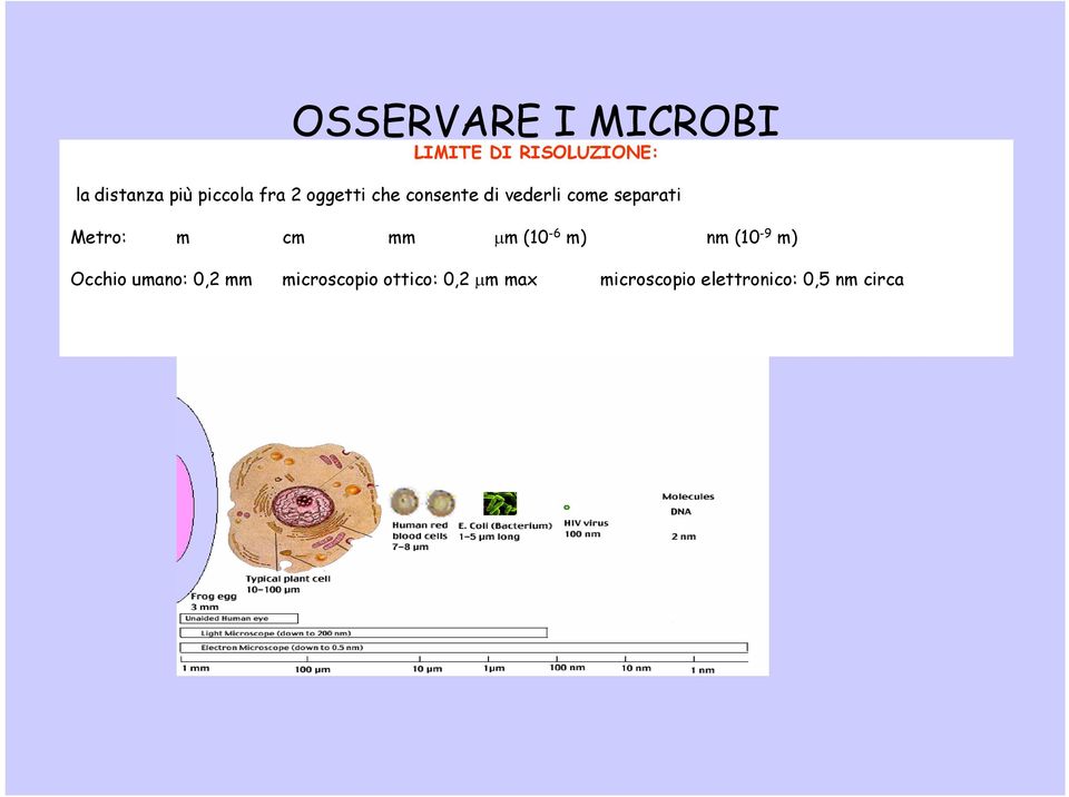 Metro: m cm mm μm (10-6 m) nm (10-9 m) Occhio umano: 0,2 mm