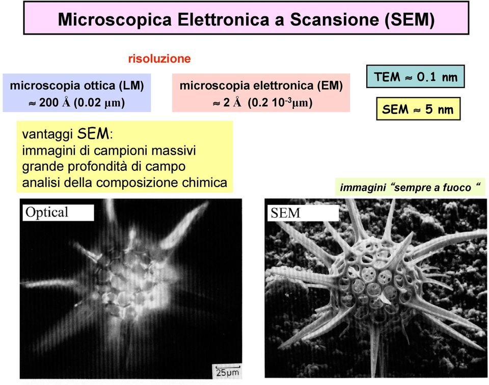 2 10-3 µm) TEM 0.