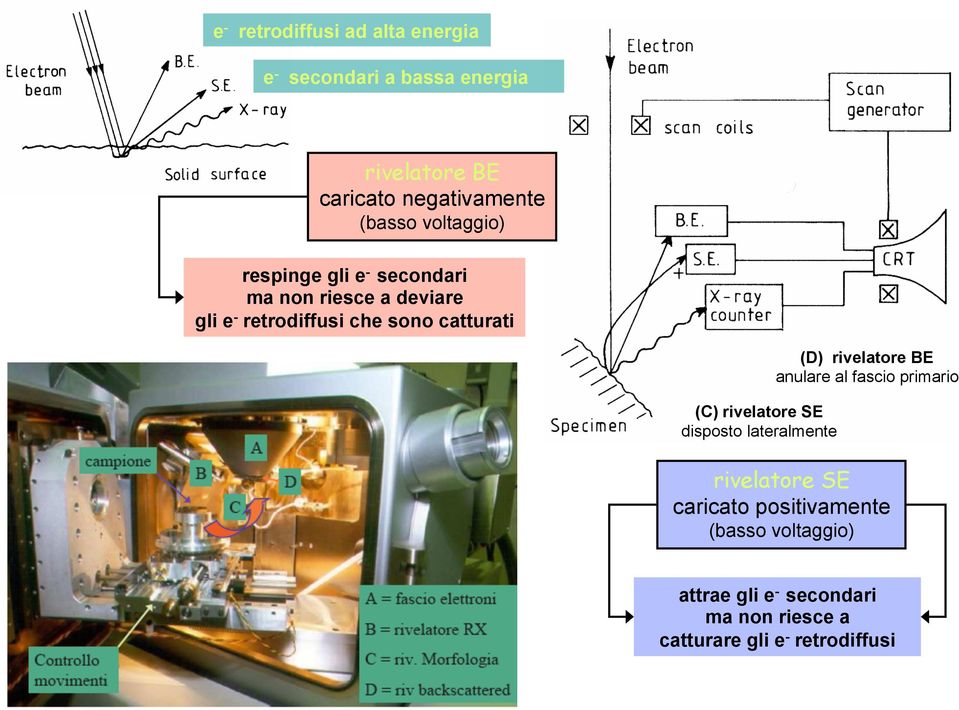 catturati (C) rivelatore SE disposto lateralmente (D) rivelatore BE anulare al fascio primario