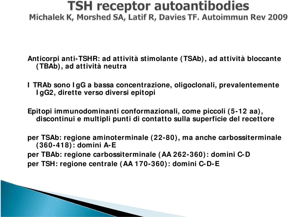 (5-12 aa), discontinui e multipli punti di contatto sulla superficie del recettore per TSAb: regione aminoterminale (22-80), ma anche