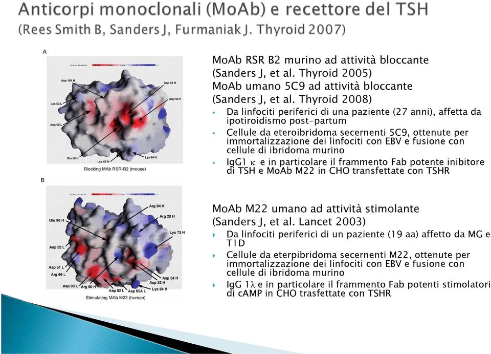 fusione con cellule di ibridoma murino IgG1 κ e in particolare il frammento Fab potente inibitore di TSH e MoAb M22 in CHO transfettate con TSHR MoAb M22 umano ad attività stimolante (Sanders J, et