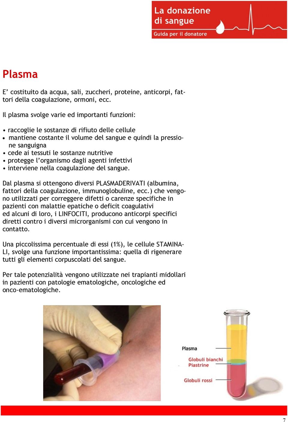 nutritive protegge l organismo dagli agenti infettivi interviene nella coagulazione del sangue.