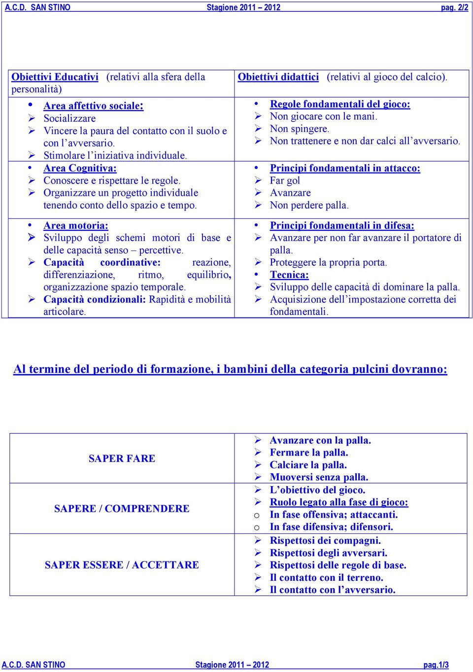 Area Cognitiva: Conoscere e rispettare le regole. Organizzare un progetto individuale tenendo conto dello spazio e tempo.