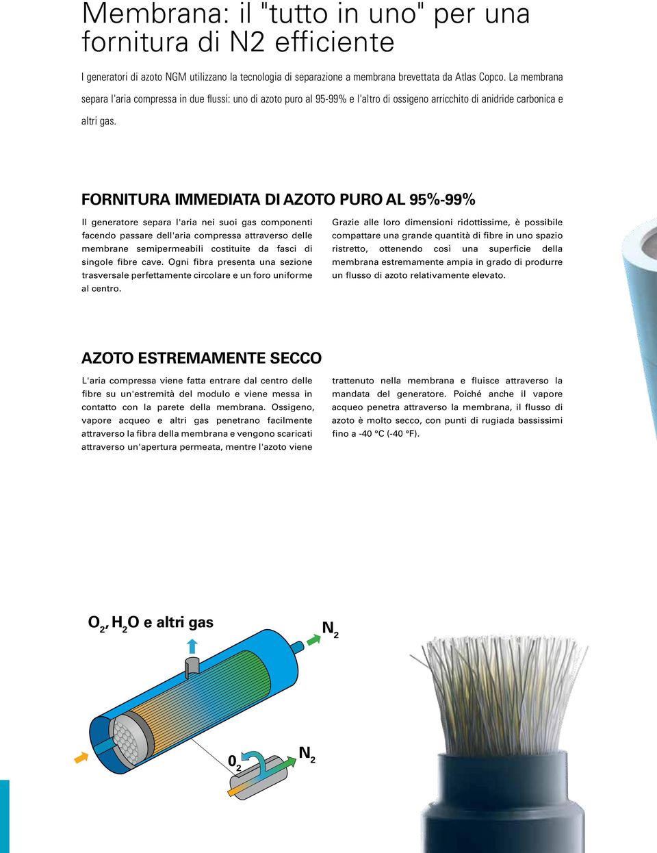 FORNITURA IMMEDIATA DI AZOTO PURO AL 95%-99% Il generatore separa l'aria nei suoi gas componenti facendo passare dell'aria compressa attraverso delle membrane semipermeabili costituite da fasci di