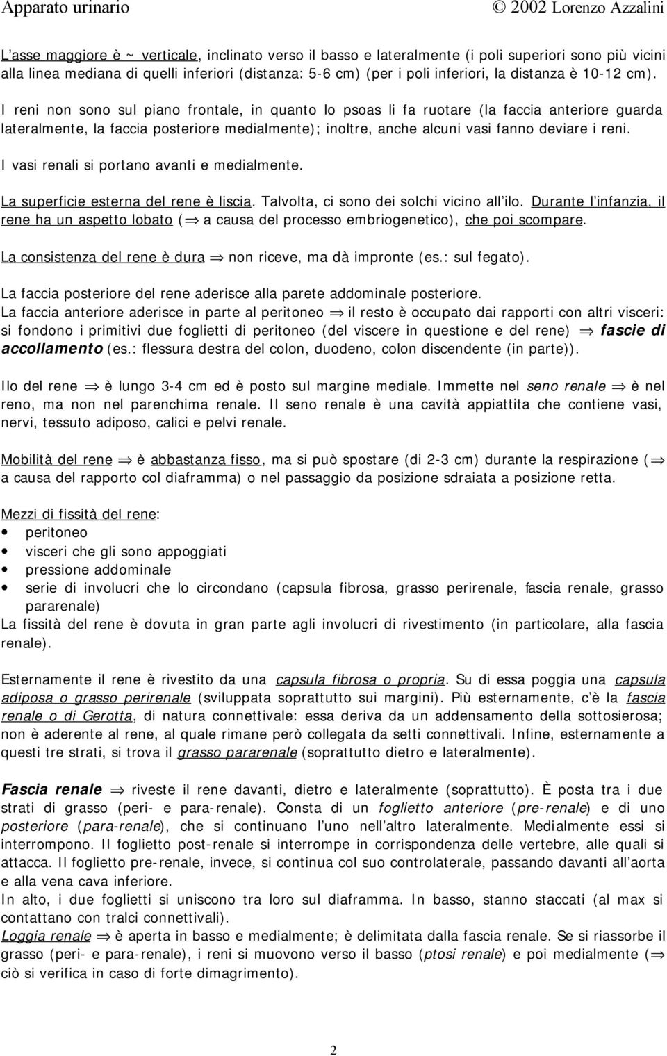 I reni non sono sul piano frontale, in quanto lo psoas li fa ruotare (la faccia anteriore guarda lateralmente, la faccia posteriore medialmente); inoltre, anche alcuni vasi fanno deviare i reni.