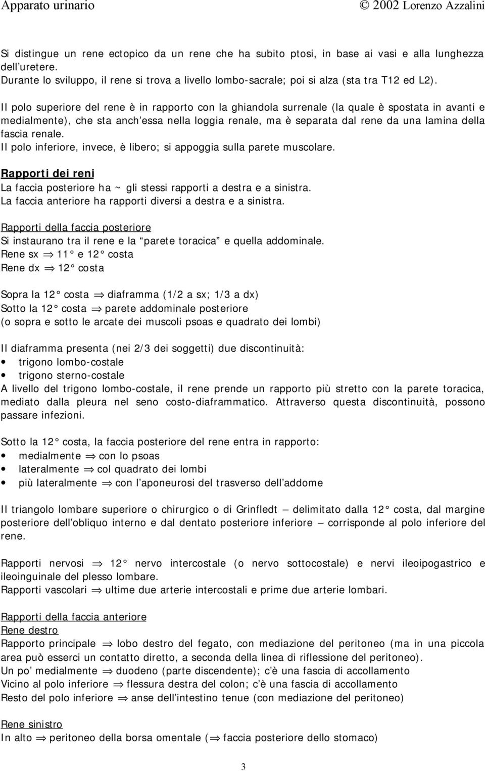 Il polo superiore del rene è in rapporto con la ghiandola surrenale (la quale è spostata in avanti e medialmente), che sta anch essa nella loggia renale, ma è separata dal rene da una lamina della