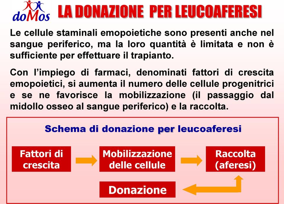 Con l impiego di farmaci, denominati fattori di crescita emopoietici, si aumenta il numero delle cellule progenitrici e se ne