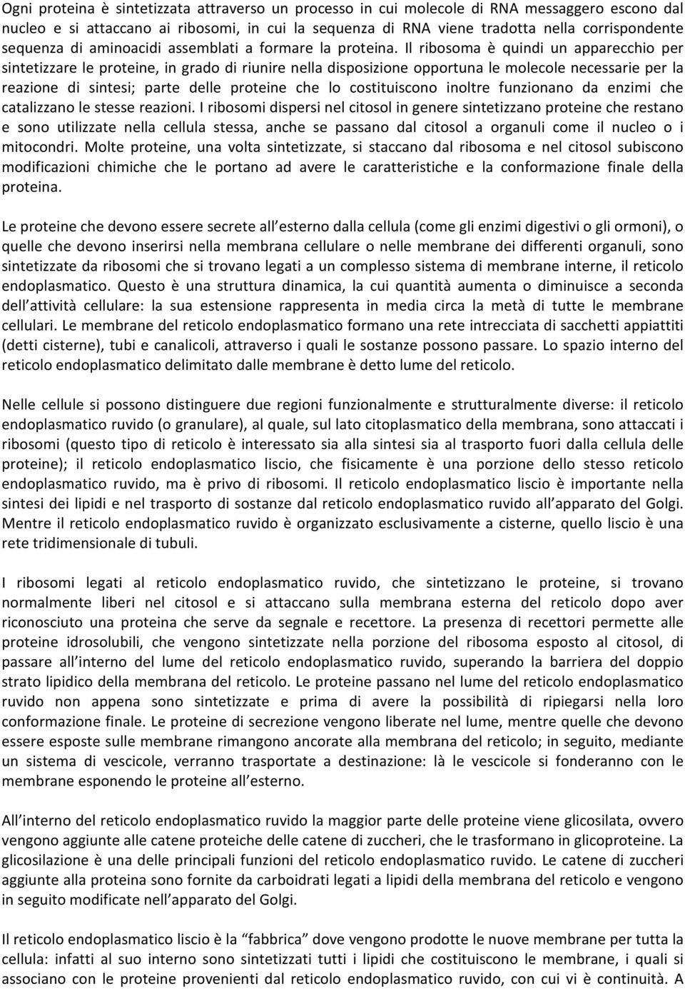 Il ribosoma è quindi un apparecchio per sintetizzare le proteine, in grado di riunire nella disposizione opportuna le molecole necessarie per la reazione di sintesi; parte delle proteine che lo