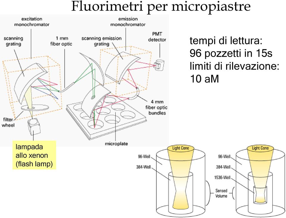 in 15s limiti di rilevazione: