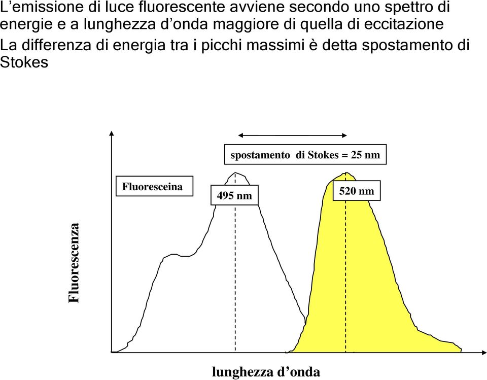 energia tra i picchi massimi è detta spostamento di Stokes spostamento