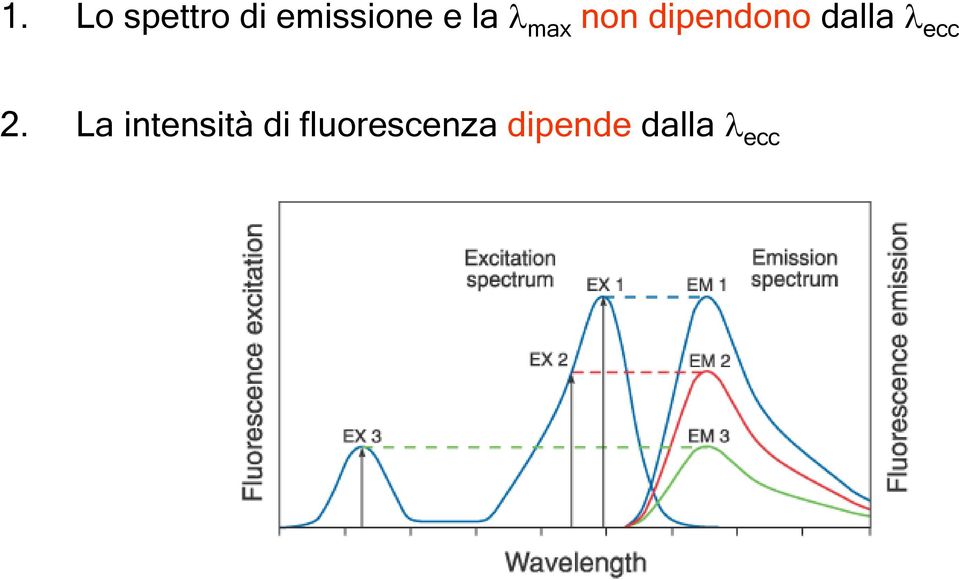 λ ecc 2.