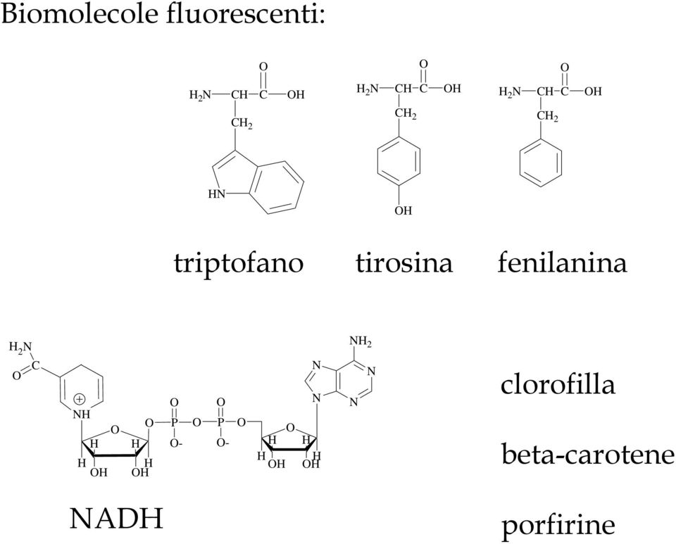 fenilanina H 2 N C NH H H H H H H P - P - H H H N N