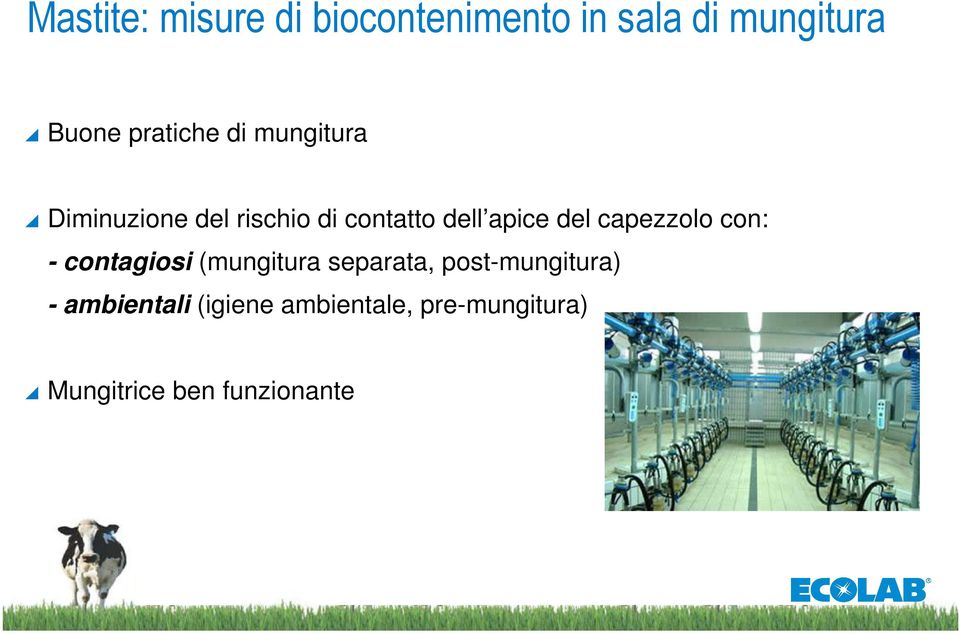 del capezzolo con: - contagiosi (mungitura separata, post-mungitura)