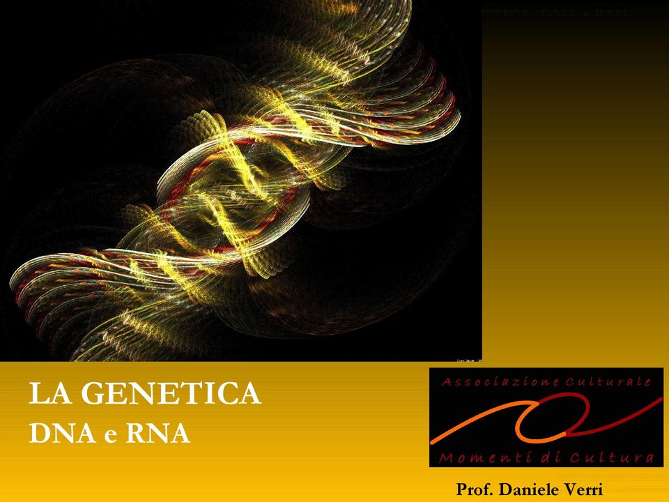 DNA e RNA