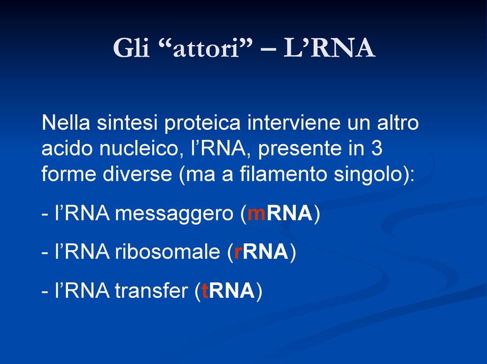 diverse (ma a filamento singolo): - l RNA messaggero
