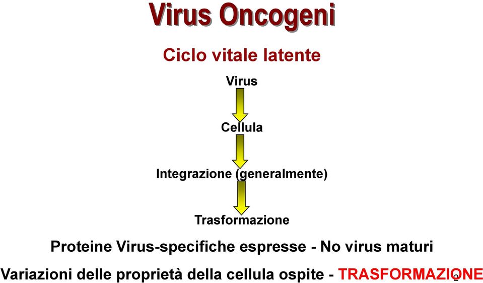 Virus-specifiche espresse - No virus maturi