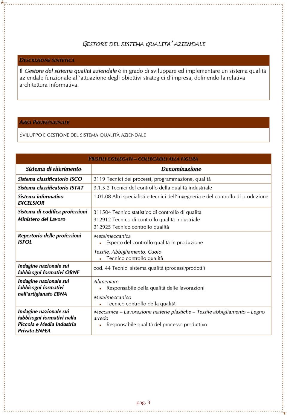 AARREEAA PPRROOFFEESSSSI IIOONNAALLEE SVILUPPO E GESTIONE DEL SISTEMA QUALITÀ AZIENDALE SSi isst teemaa ddi i rri ifeerri imeennt too Sistema classificatorio ISCO Sistema classificatorio ISTAT