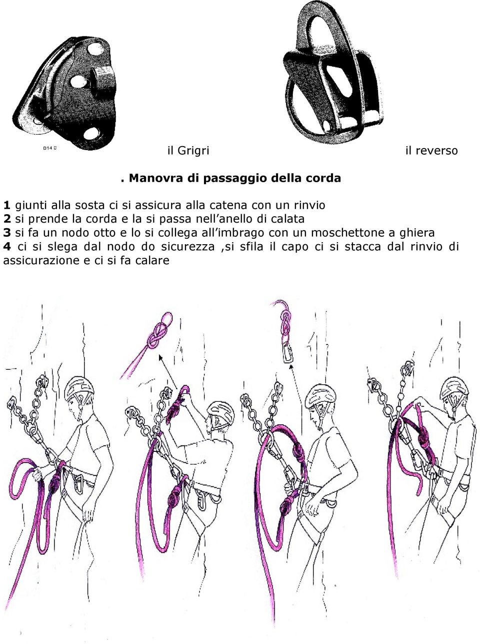 rinvio 2 si prende la corda e la si passa nell anello di calata 3 si fa un nodo otto e lo