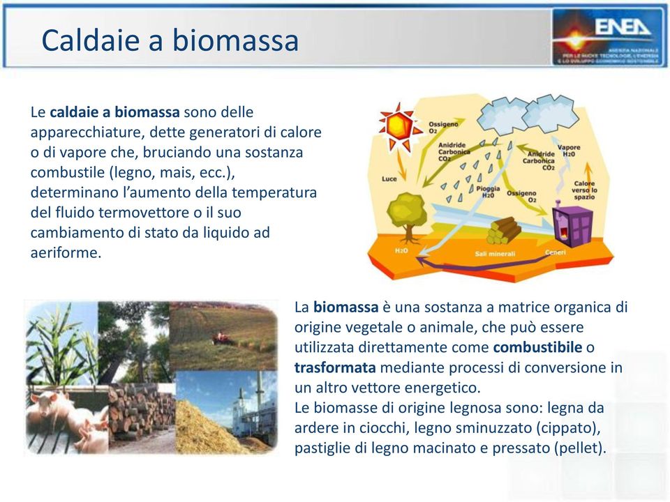 La biomassa è una sostanza a matrice organica di origine vegetale o animale, che può essere utilizzata direttamente come combustibile o trasformata mediante