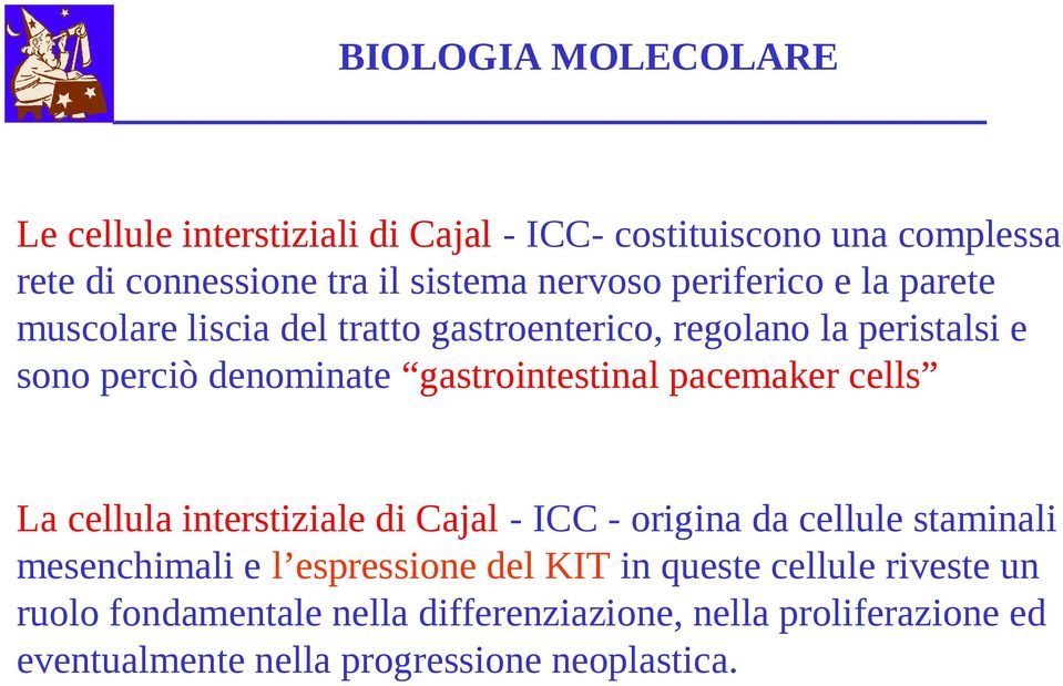 pacemaker cells La cellula interstiziale di Cajal - ICC - origina da cellule staminali mesenchimali e l espressione del KIT in
